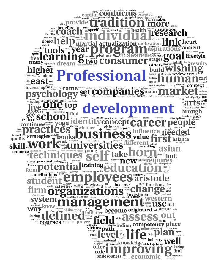Professional development word collage