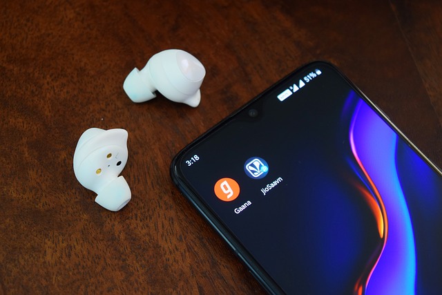 Smartphone with earbuds