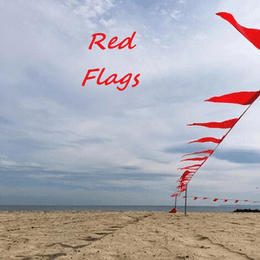 Single artwork provided by Mustang Legendary King for Red Flags single